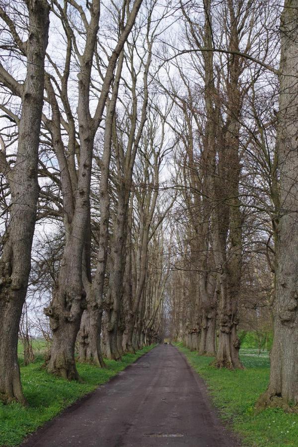 Reethaus Meridian Breege Bagian luar foto